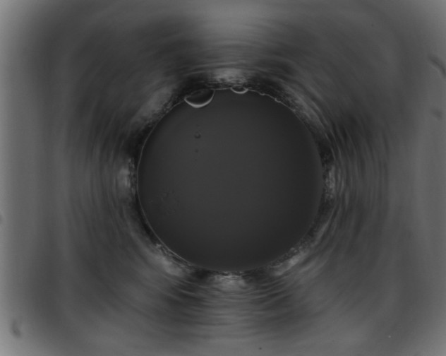 X0000097590424200803071325