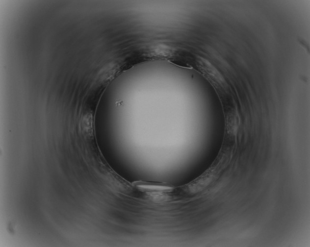 X0000097590425200803071325