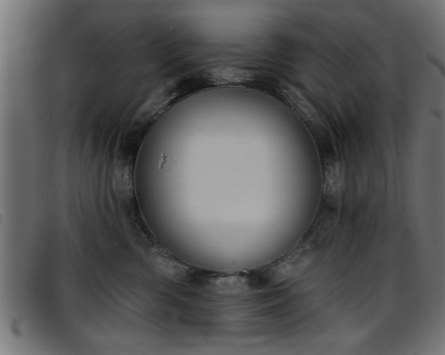 X0000097590426200803071325