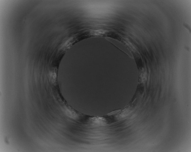 X0000097590427200803071325