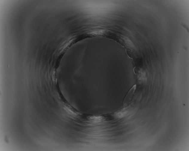 X0000097590428200803071325