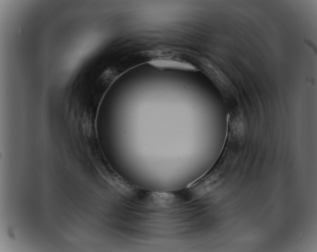 X0000097590429200803071325