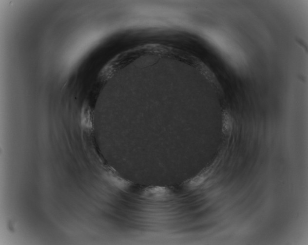 X0000097590431200803071325