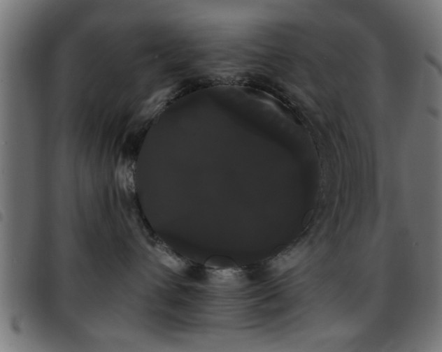 X0000097590432200803071325