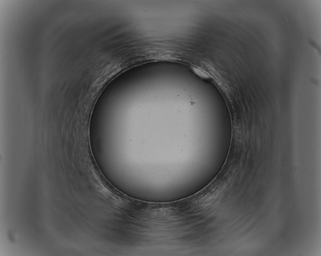 X0000097590433200803071324