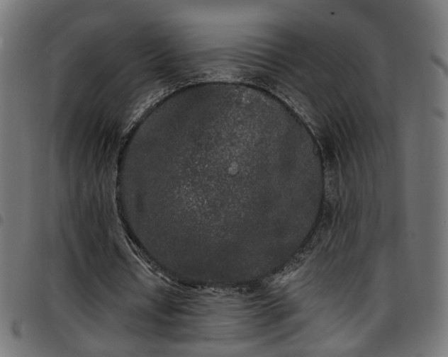 X0000097590434200803071324