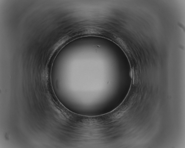 X0000097590435200803071324