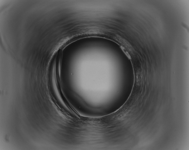 X0000097590436200803071324