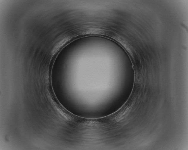 X0000097590437200803071324