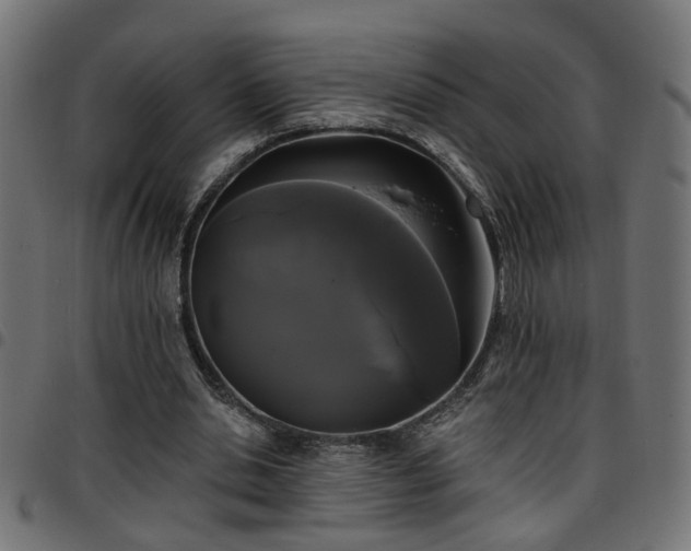 X0000097590438200803071324