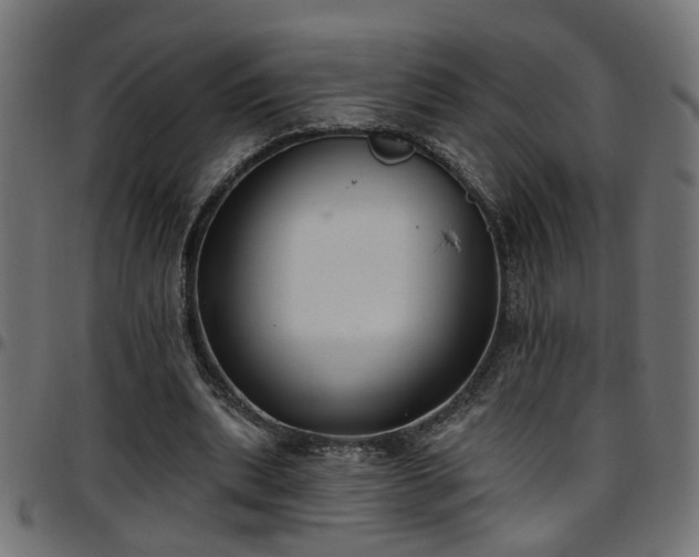 X0000097590439200803071324