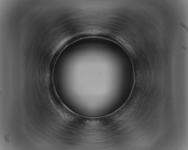 X0000097590440200803071324