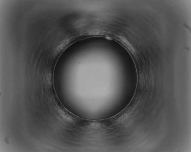 X0000097590441200803071324