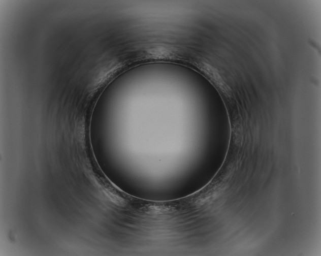 X0000097590442200803071324