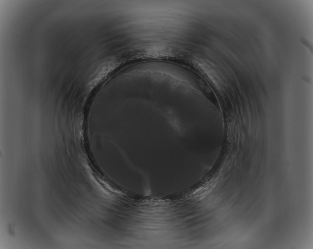 X0000097590443200803071324