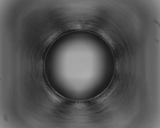 X0000097590445200803071324