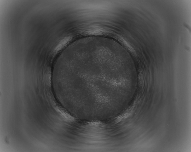 X0000097590446200803071324