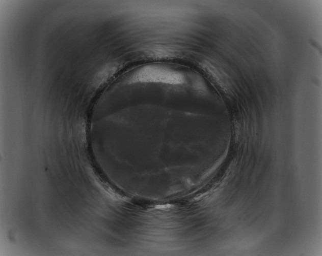 X0000097590447200803071324