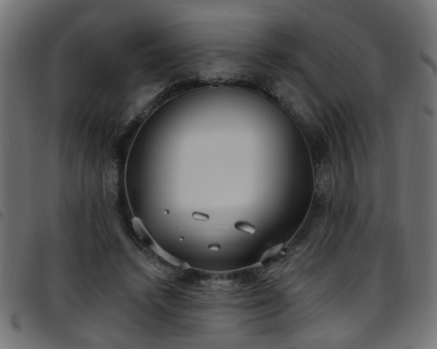 X0000097590448200803071324