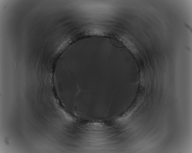 X0000097590449200803071324