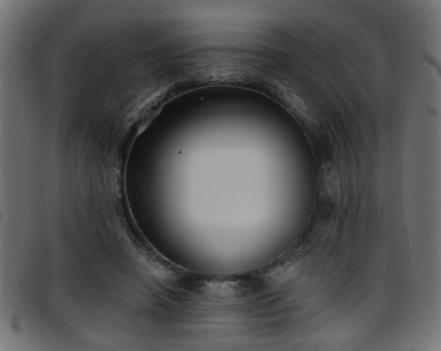 X0000097590450200803071324