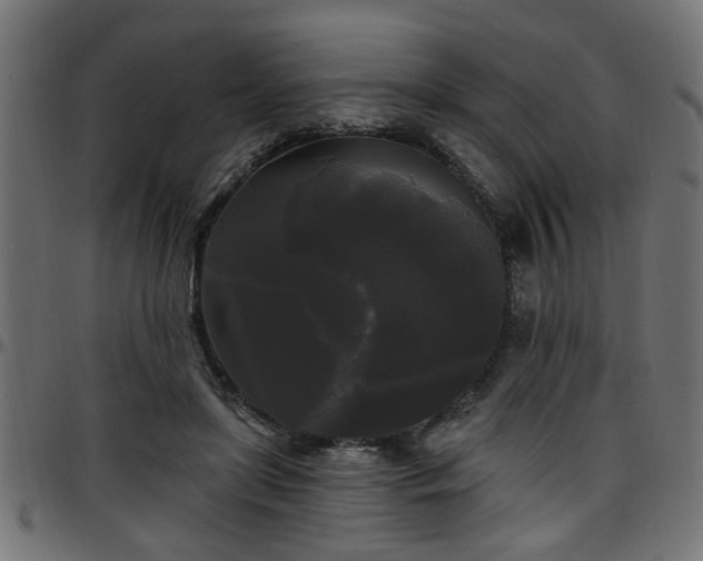 X0000097590451200803071324