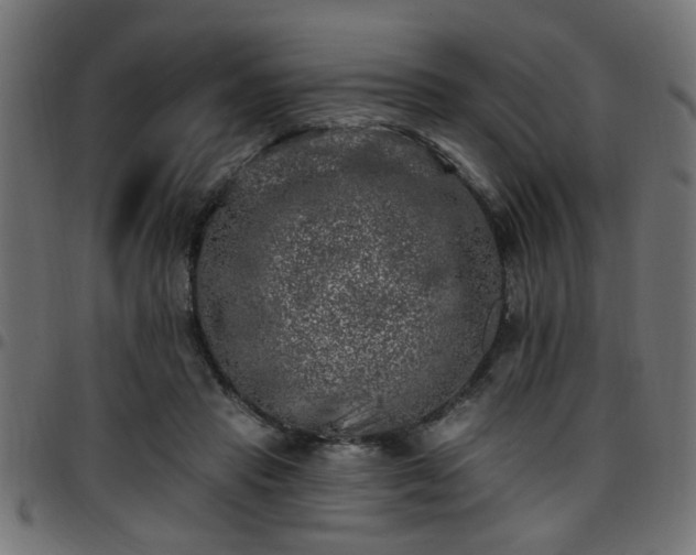 X0000097590453200803071324