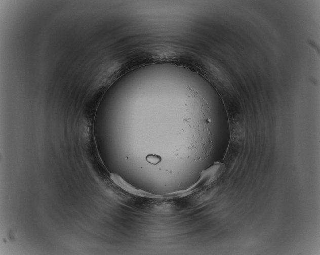 X0000097590456200803071324