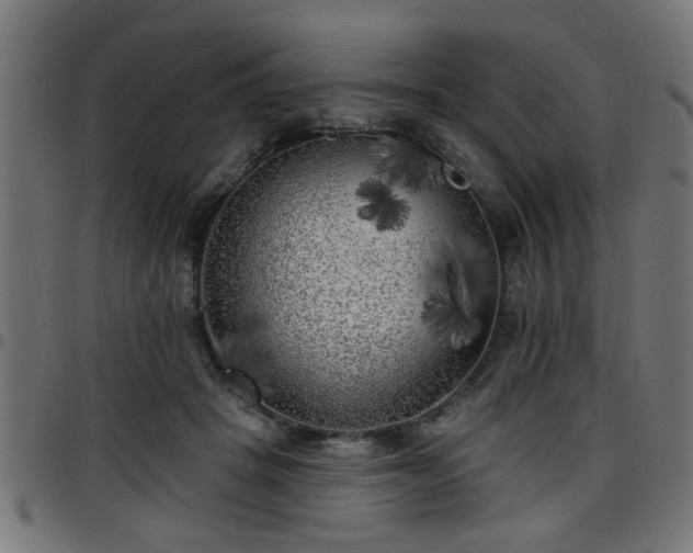X0000097590457200803071324