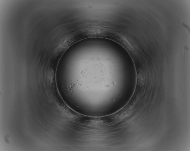 X0000097590458200803071324