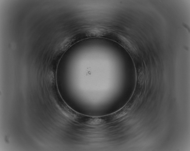 X0000097590459200803071324