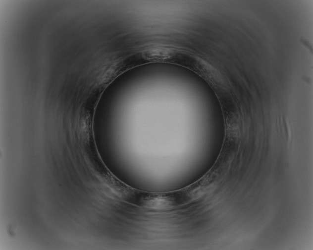 X0000097590460200803071324