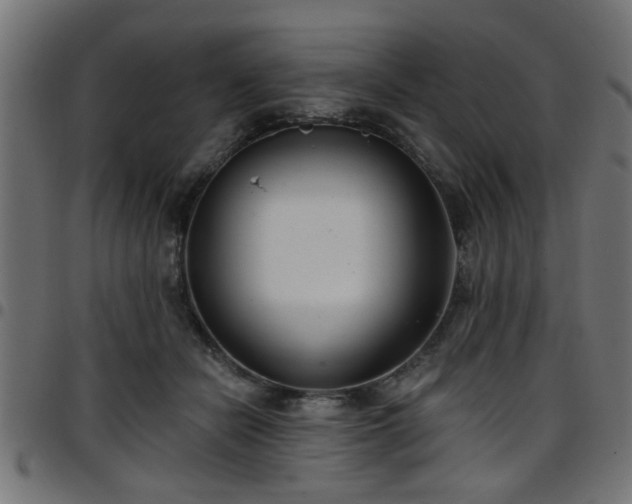 X0000097590462200803071325