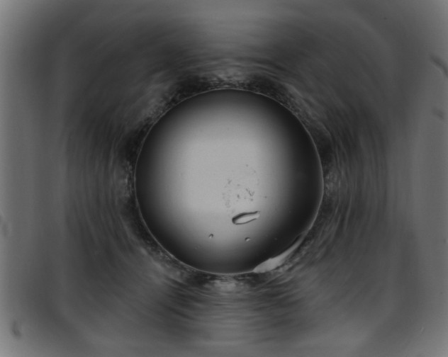 X0000097590464200803071325