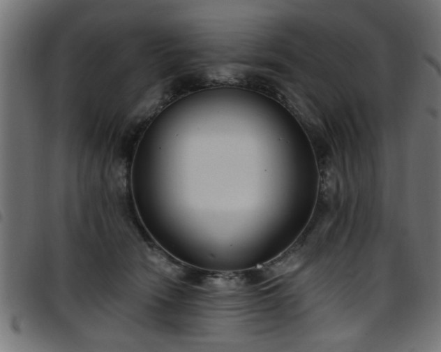 X0000097590466200803071325