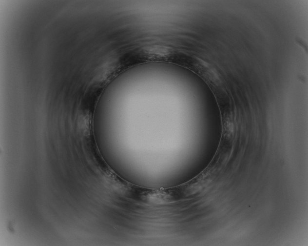 X0000097590468200803071325