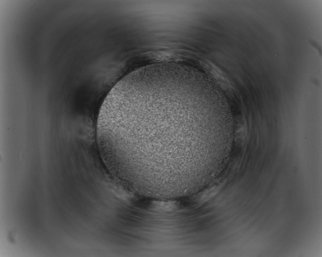 X0000097590469200803071325