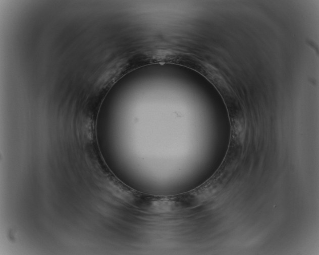 X0000097590470200803071325