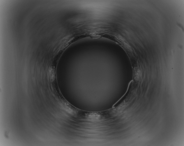 X0000097590471200803071325