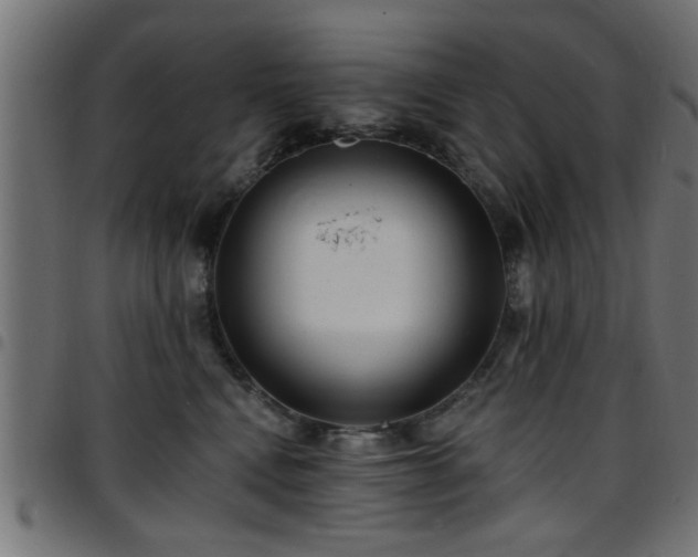 X0000097590472200803071325