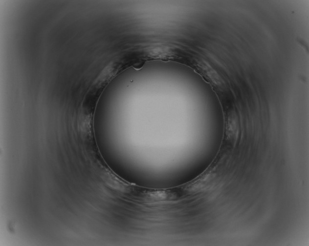 X0000097590473200803071325