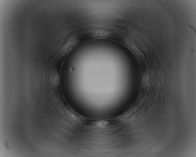 X0000097590474200803071325