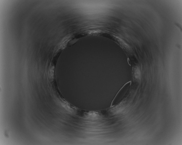 X0000097590475200803071325