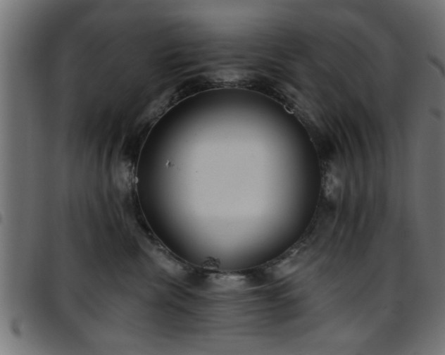 X0000097590476200803071325