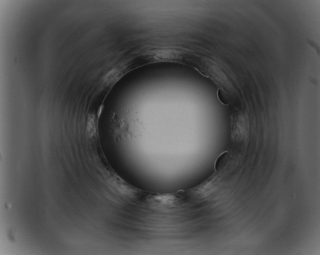 X0000097590478200803071325