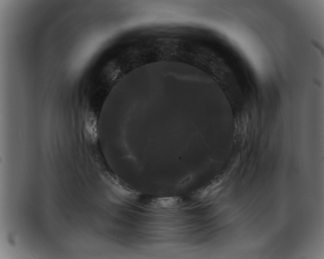 X0000097590479200803071325