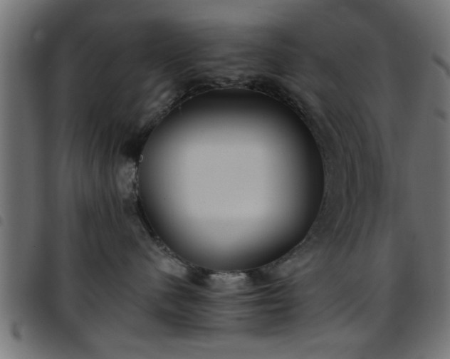 X0000097590480200803071325