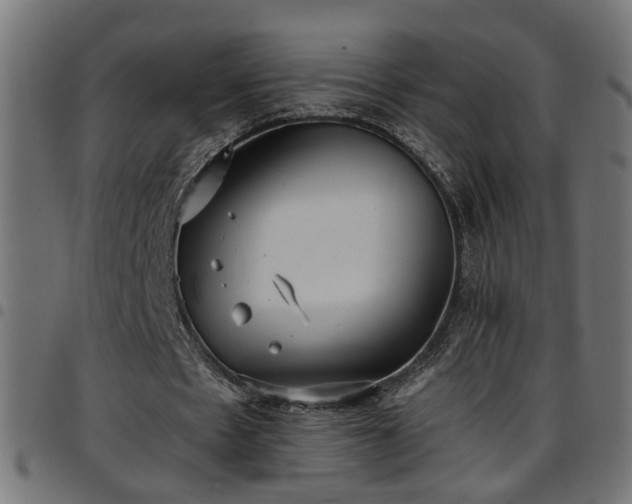 X0000097590481200803071324