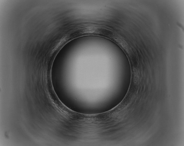 X0000097590482200803071324