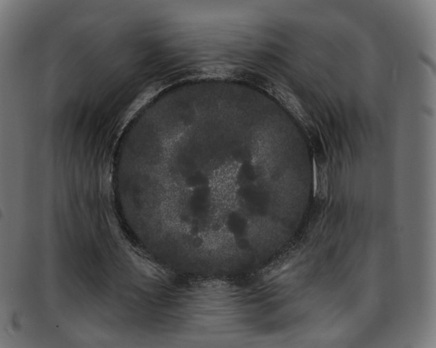 X0000097590483200803071324